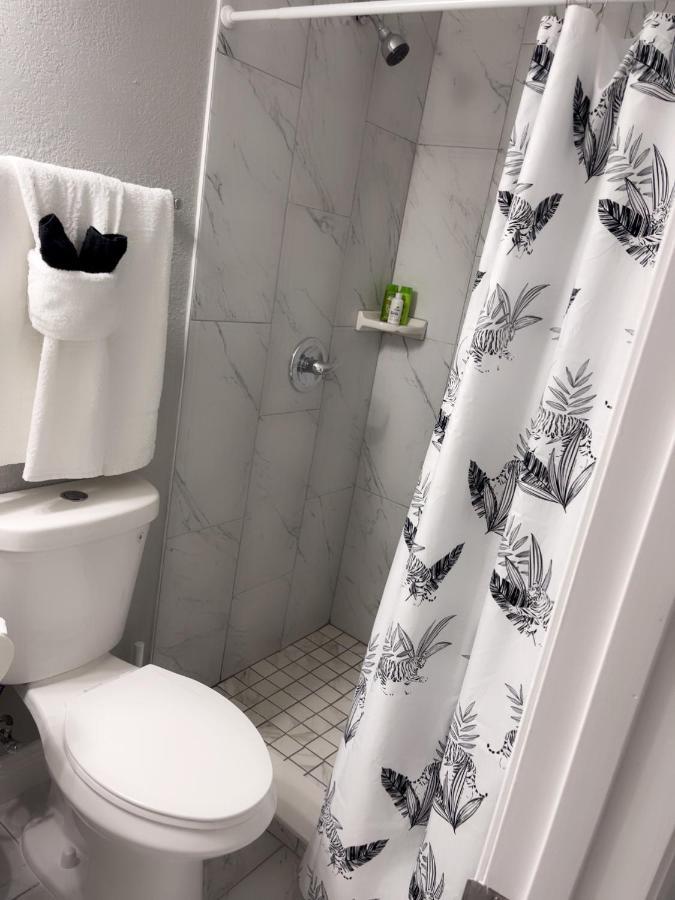 Apartament Dan G Tampa Zewnętrze zdjęcie
